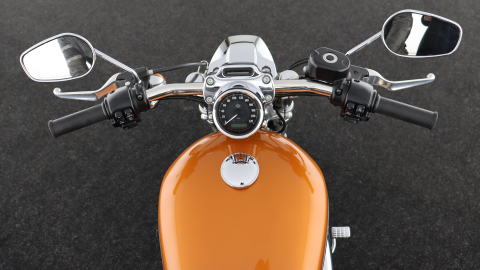 Harley Davidson Sportster CVO