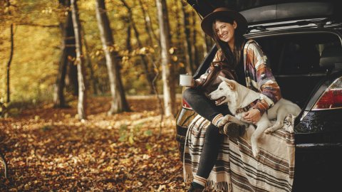 6 herfstwandelingen in België