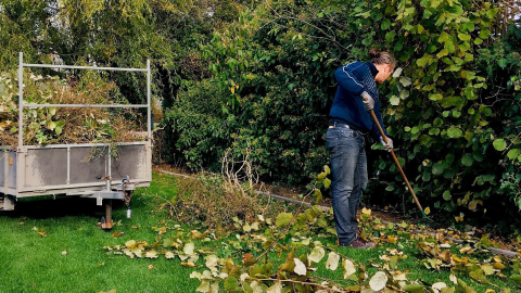 Un homme met des déchets de jardin dans une remorque