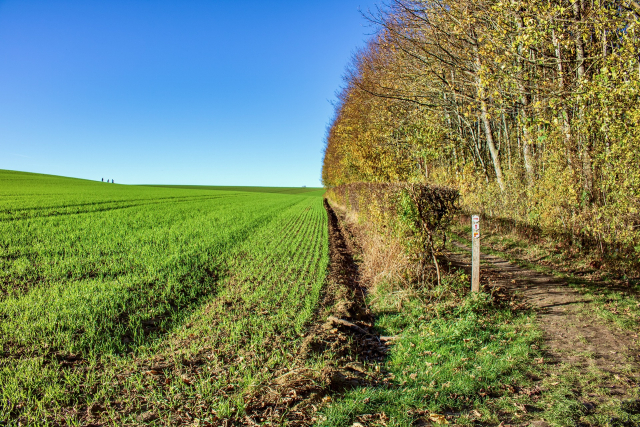 Hornebos Limburg