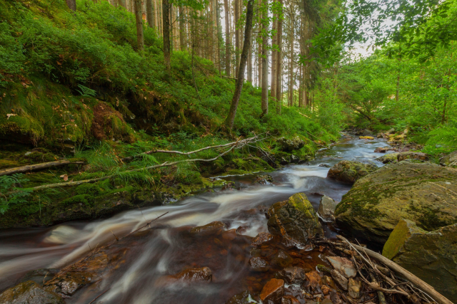 High Fens Ardennes